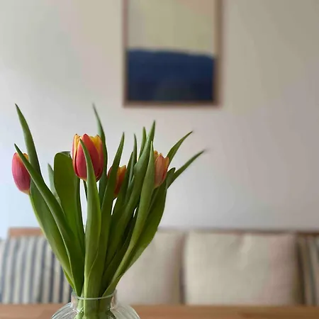 Wattlooper Vacation 노르덴